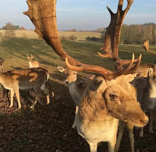 Apartamento Grosse Mit Loggia